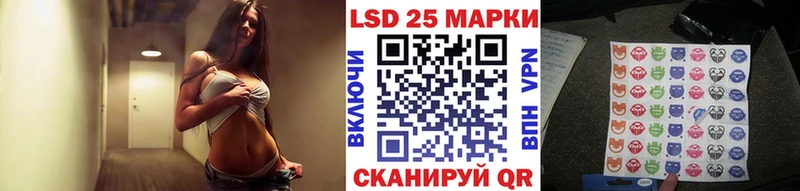 где можно купить Петровск Марки N-bome 1500мкг